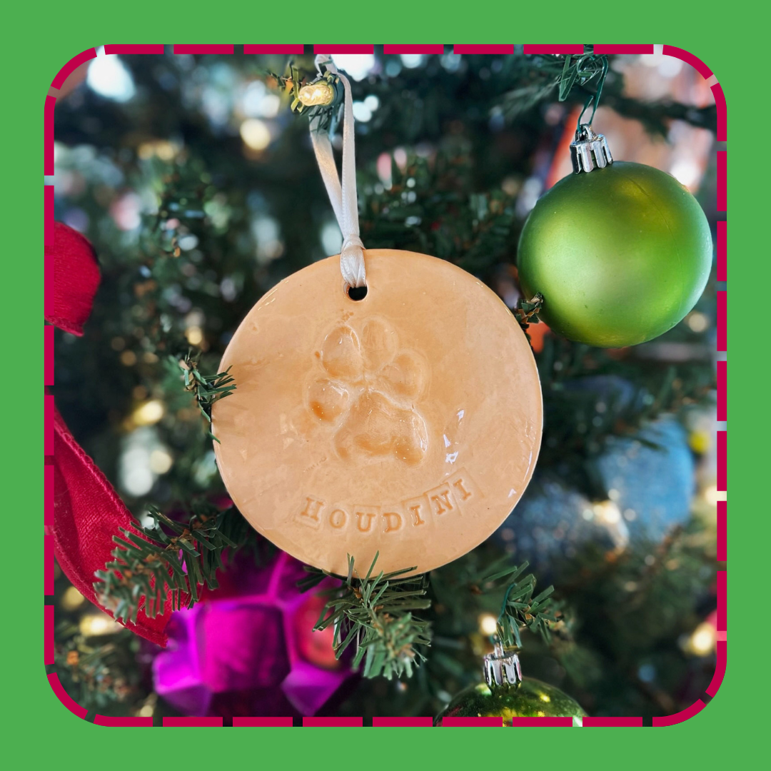 Dog Paw Print Ornament Workshop | December 6th