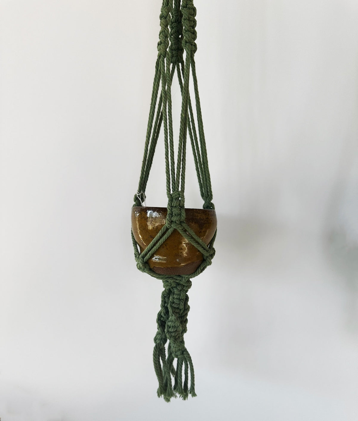 Brown & Green Hanging Planter | Lucinda Meglemre