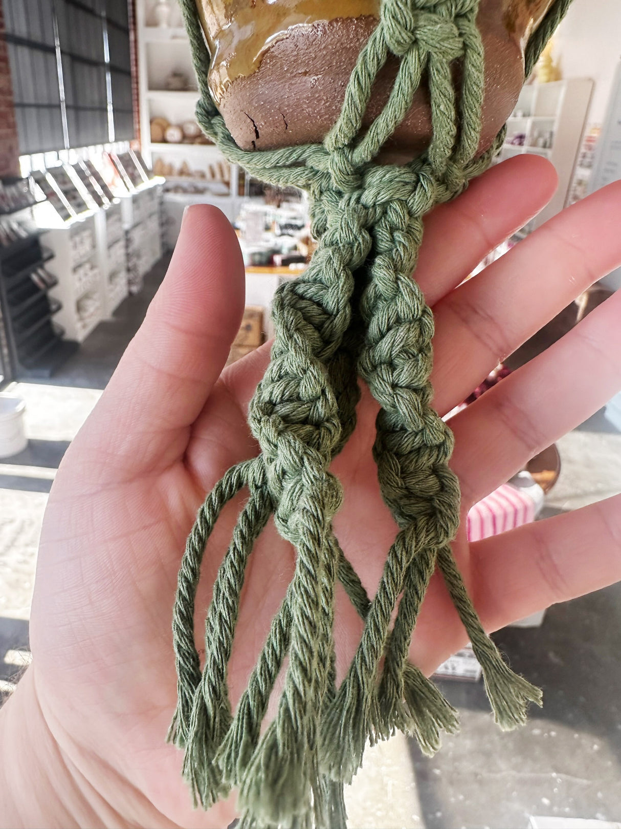 Brown & Green Hanging Planter | Lucinda Meglemre