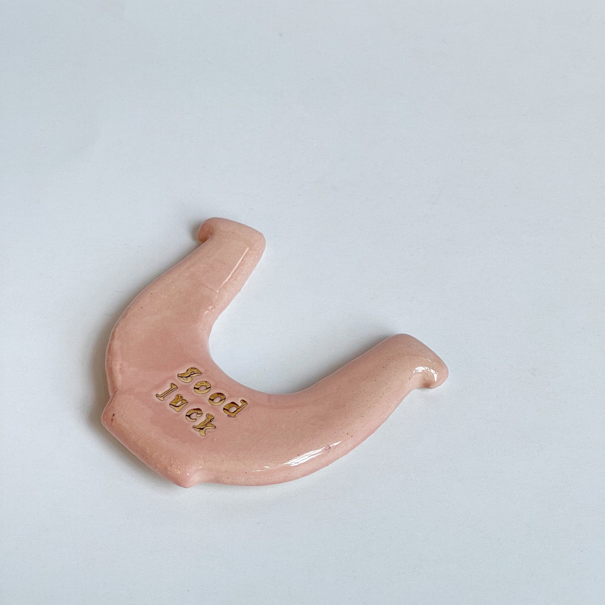 Horseshoe Magnet | Madeleine Schmidt