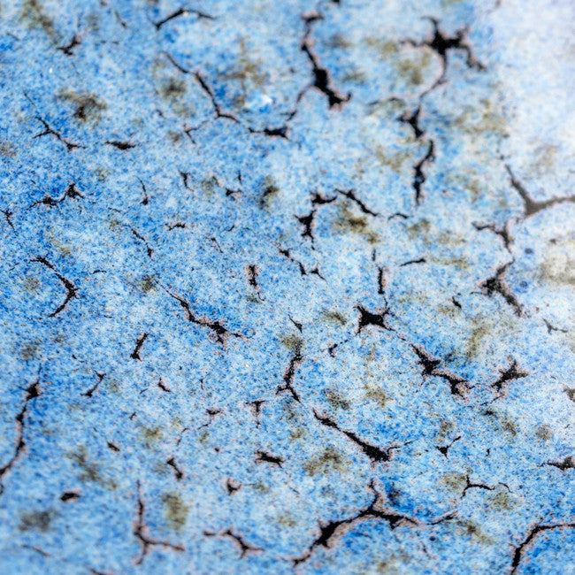 Speckled Flux Crawl CR-18