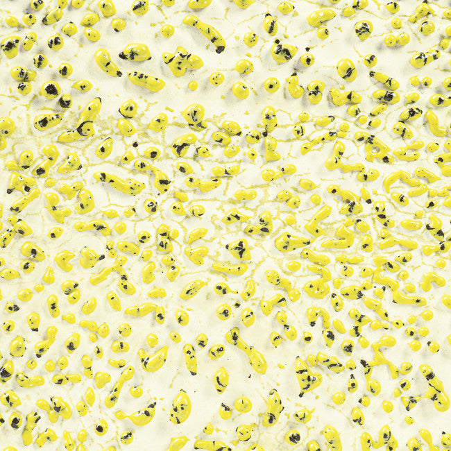 Speckled Yellow Crawl CR-61