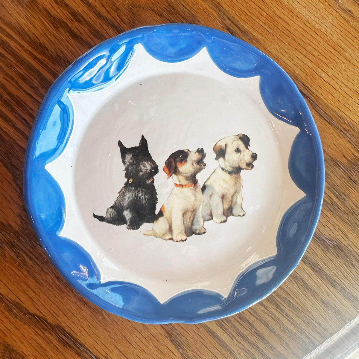 Cutesy Dishes with Colored Scallop Design and Hook | Jessica Walker