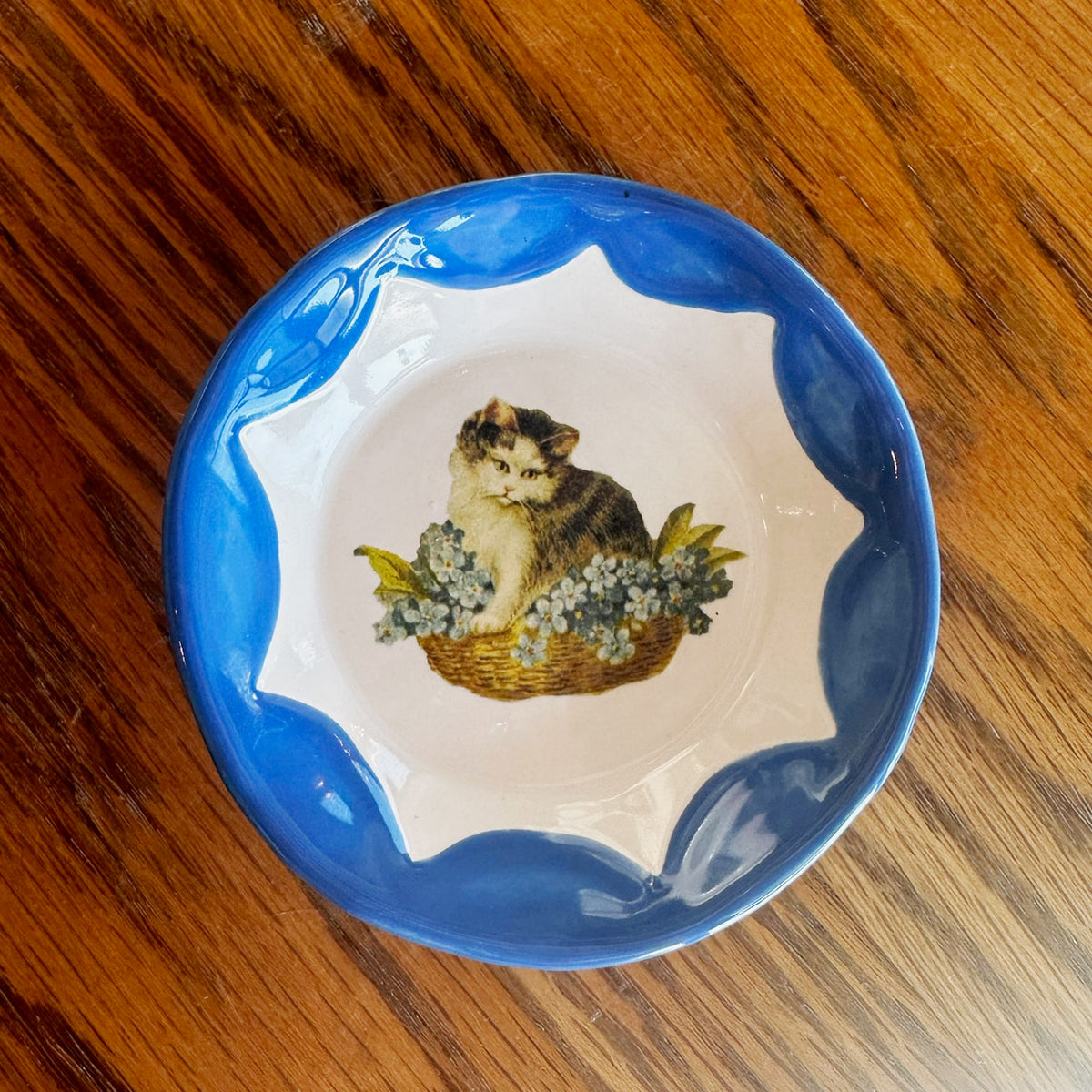 Cutesy Dishes with Colored Scallop Design and Hook | Jessica Walker