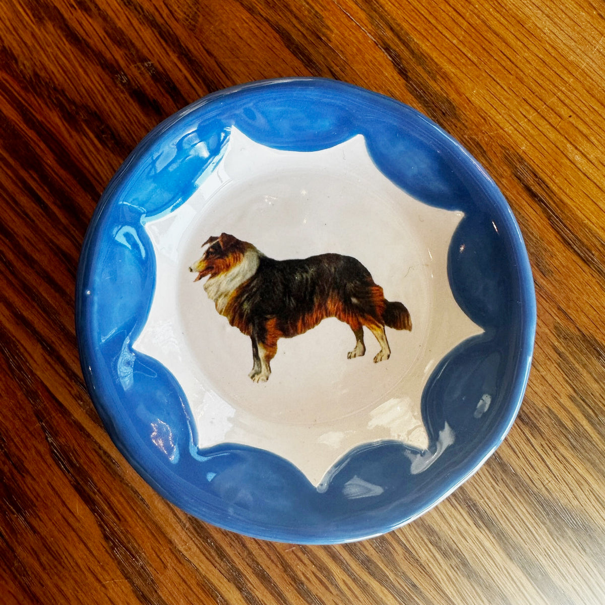 Cutesy Dishes with Colored Scallop Design and Hook | Jessica Walker