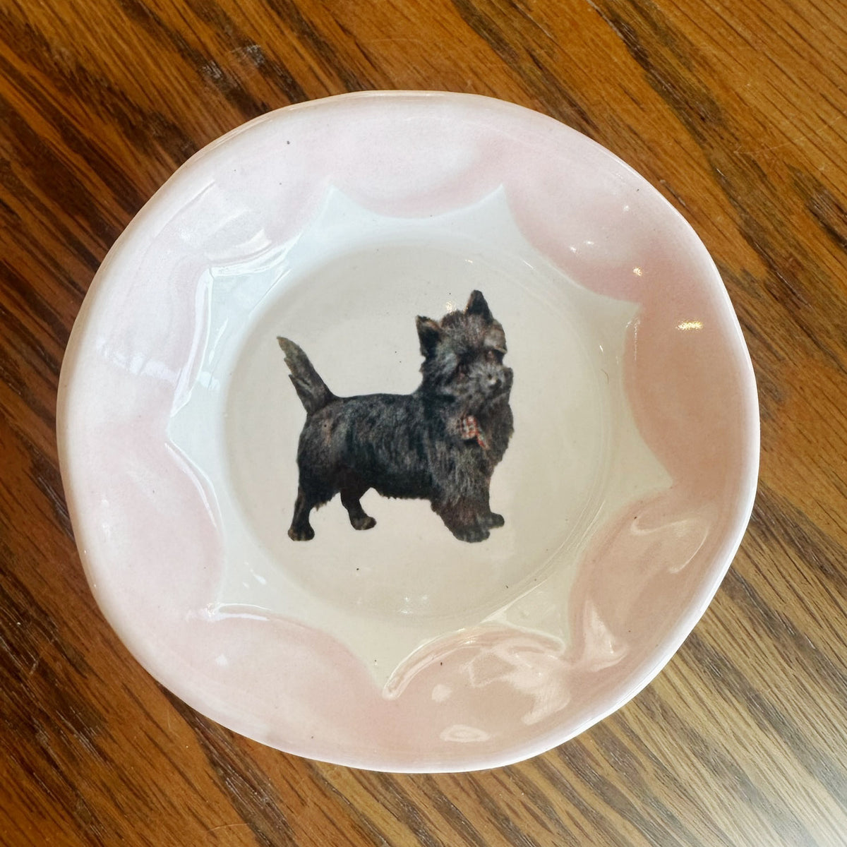 Cutesy Dishes with Colored Scallop Design and Hook | Jessica Walker