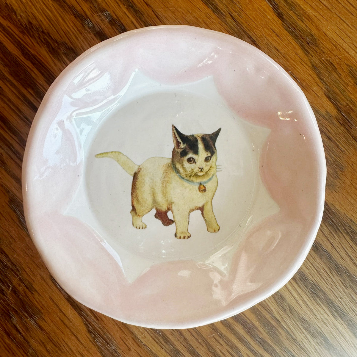 Cutesy Dishes with Colored Scallop Design and Hook | Jessica Walker