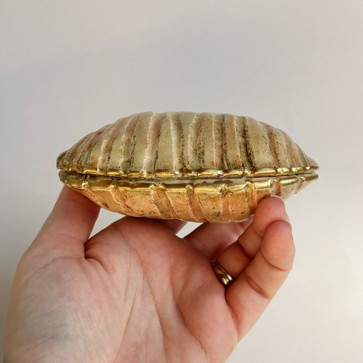 Shell Wish Box | Lisa Goldfarb