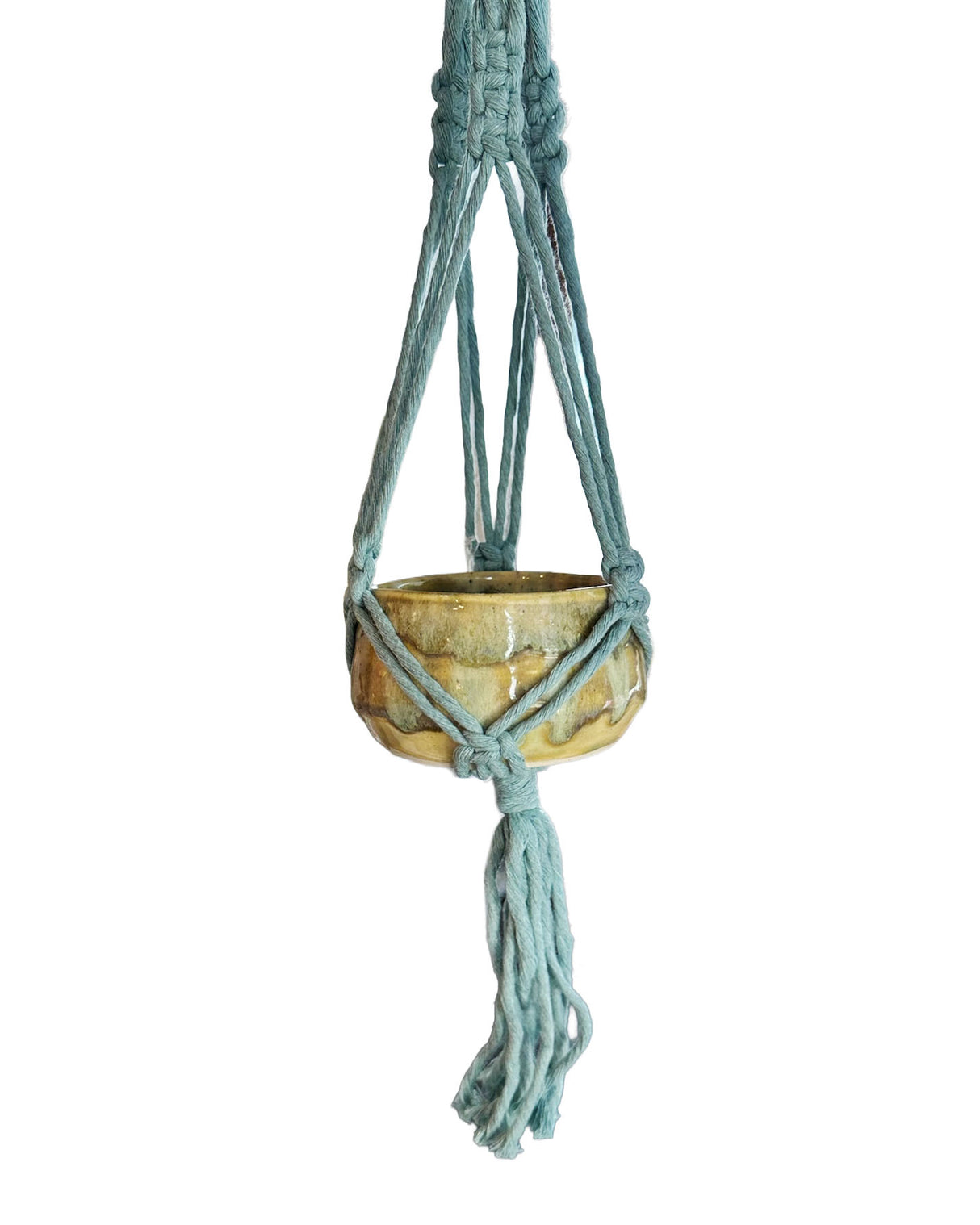 Creamy Yellow Stoneware Planter with Blue Macrame Hanger | Lucinda Meglemre