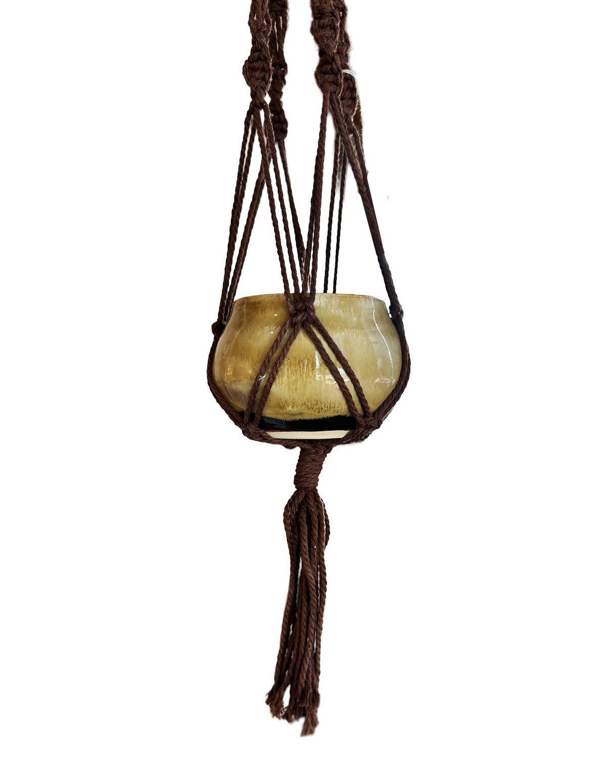 Tan-Yellow Stoneware Planter with Brown Macrame Hanger | Lucinda Meglemre