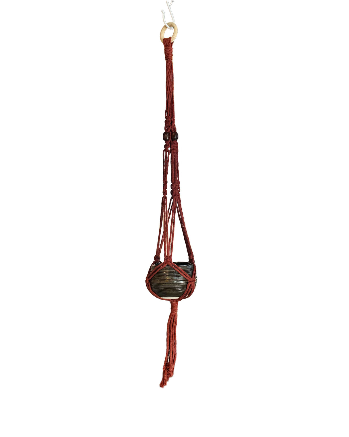 Ridged Deep Brown Stoneware Planter with Red Macrame Hanger | Lucinda Meglemre