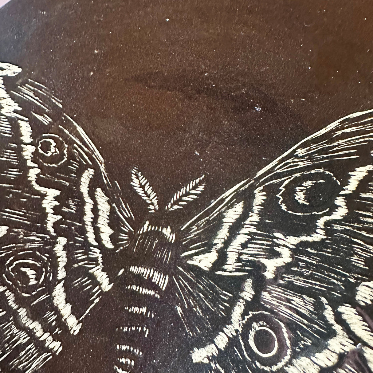 Small Inky Black Carved Moth Plate | Cindy Walker Davidson