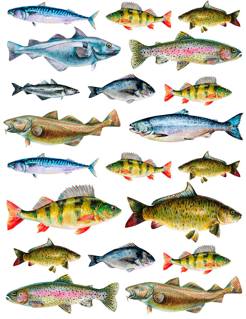 Lake Fish Overglaze Decal Sheet