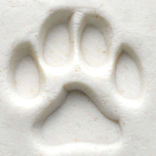 MKM Medium Round Stamp- Dog Paw- SCM-001
