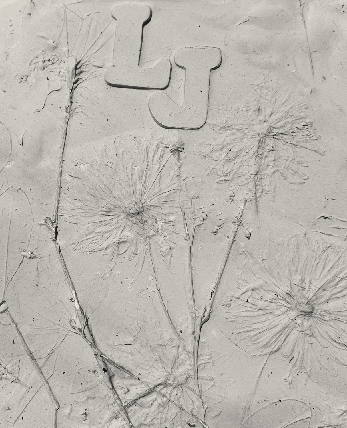 Plaster Flower Impression Workshop | May 10th