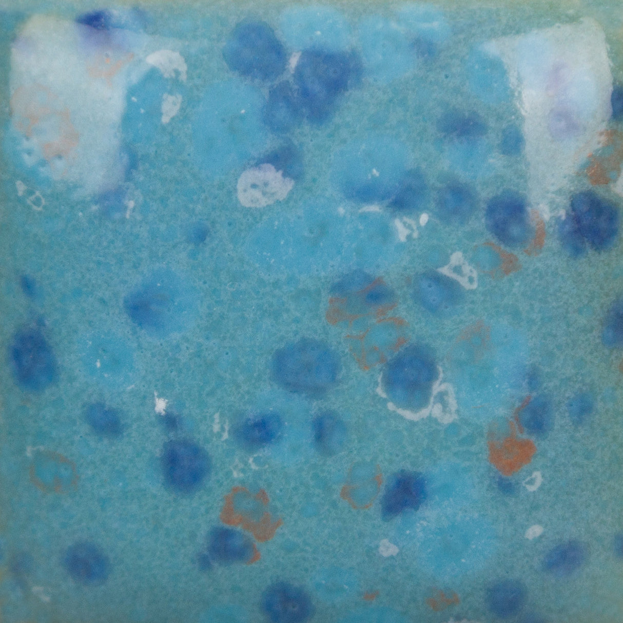 Stroke and Coat SP2105 Speckled Tic-Tac-Turquoise
