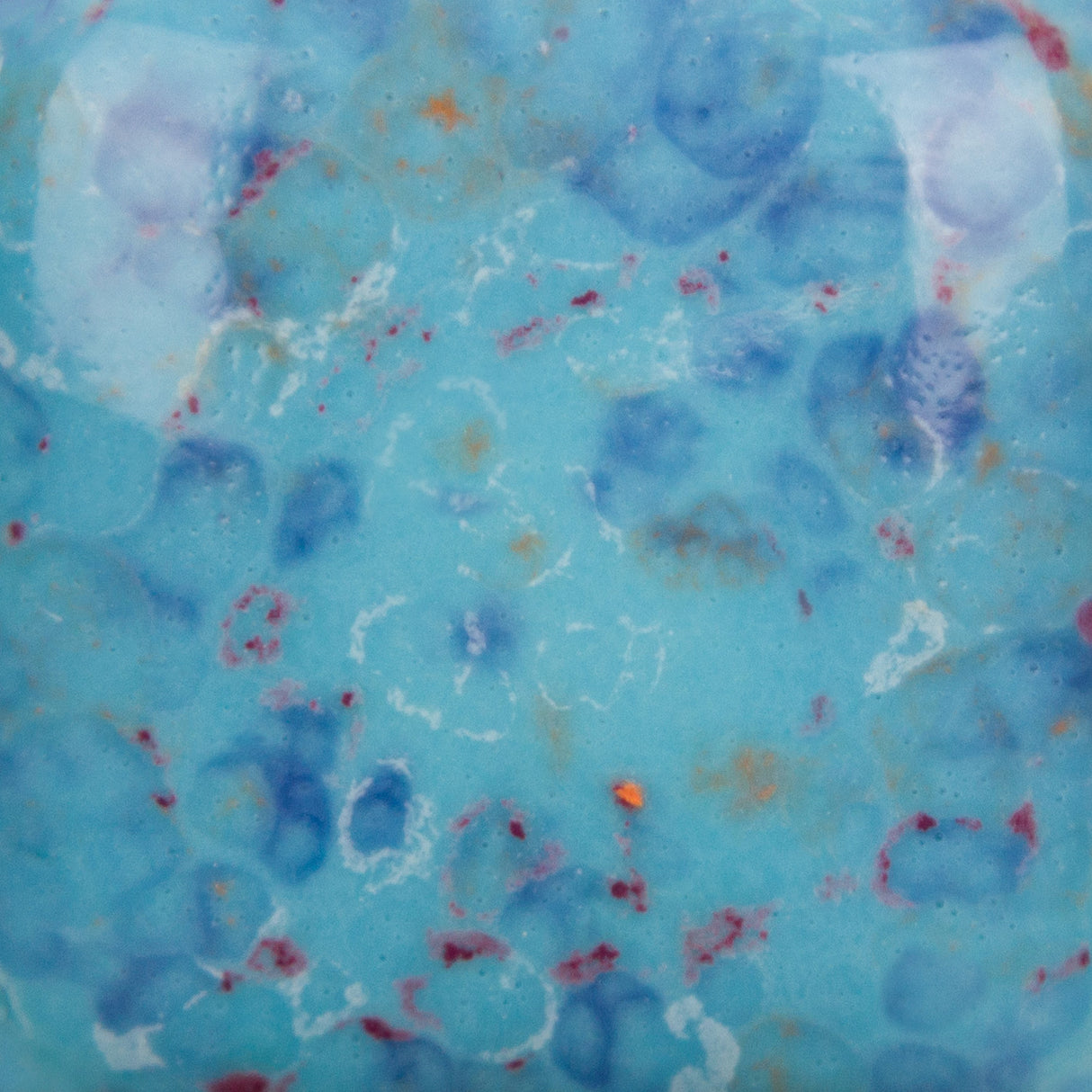 Stroke and Coat SP2105 Speckled Tic-Tac-Turquoise