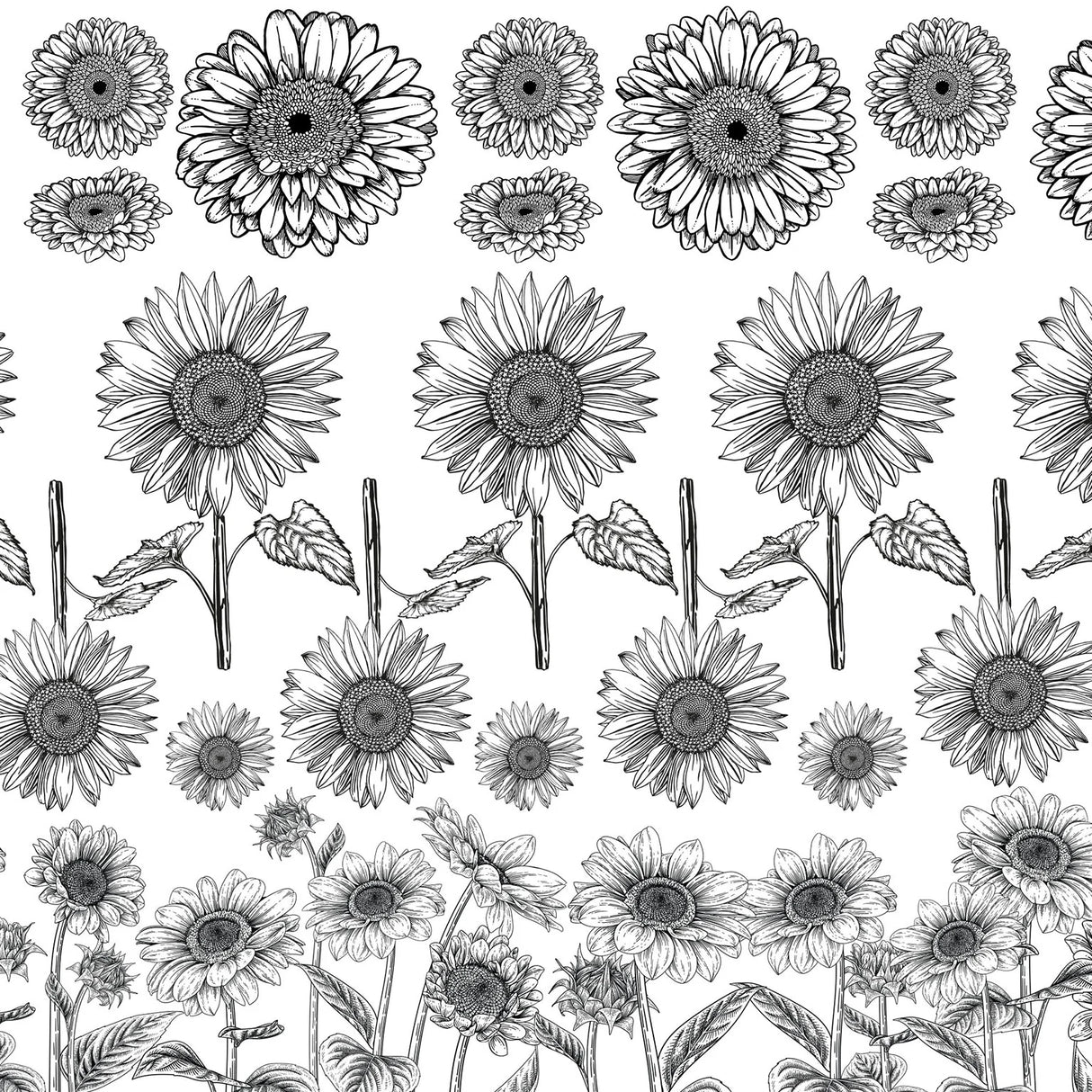 Sunflower Field Underglaze Transfer