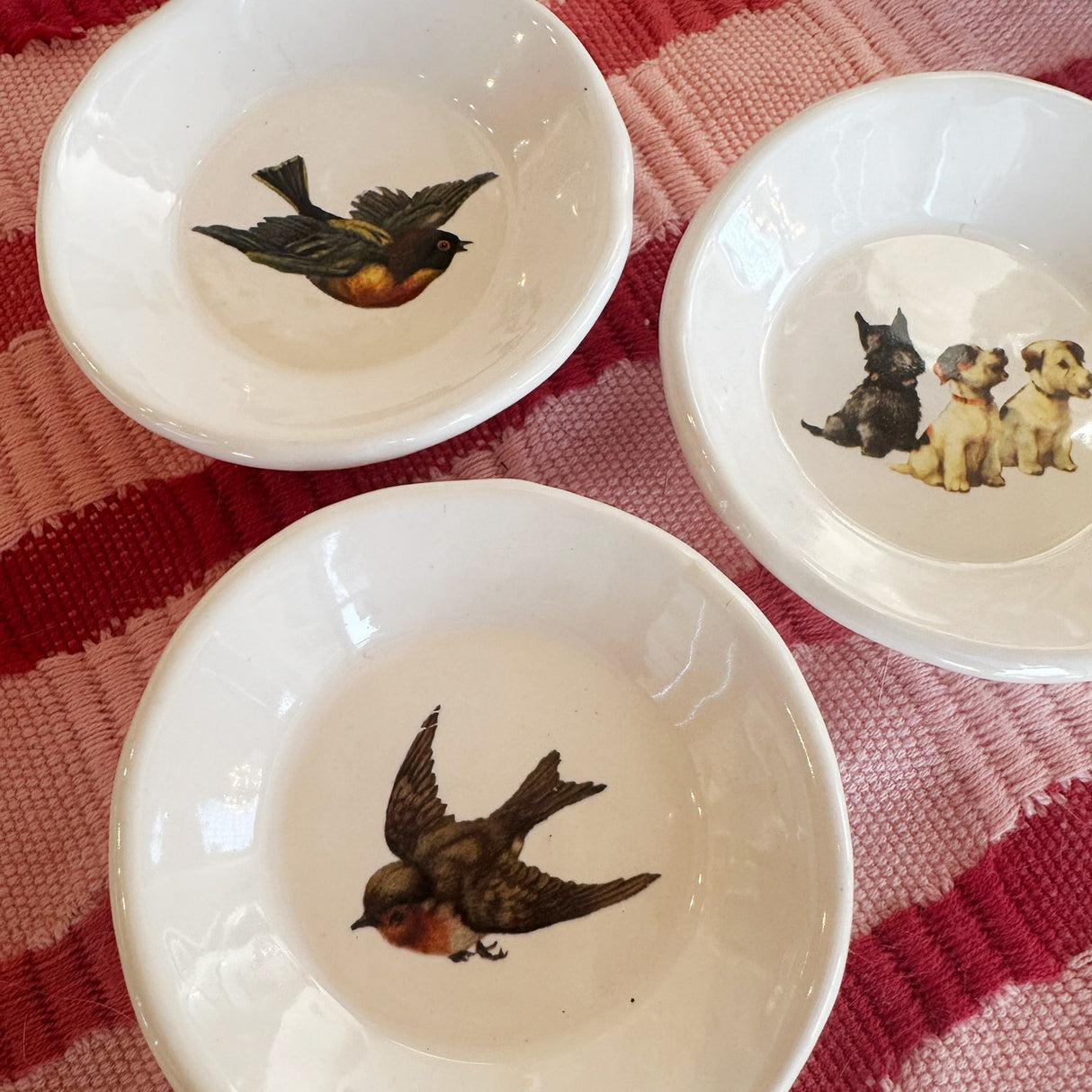 Cutesy Dishes with Hooks- Batch #6 | Jessica Walker