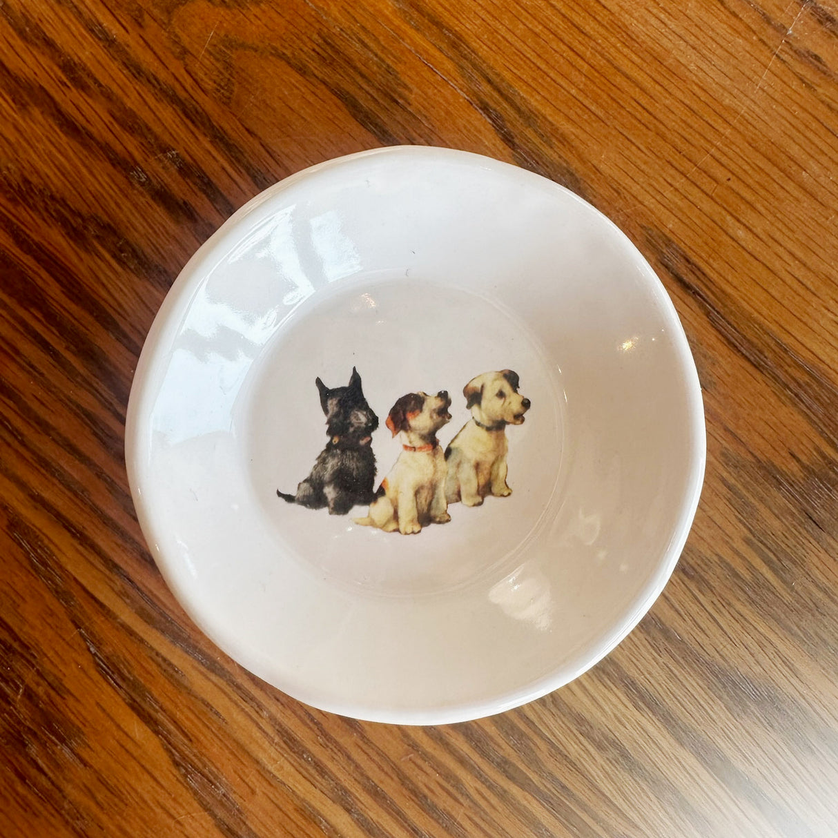 Cutesy Dishes with Hooks- Batch #6 | Jessica Walker