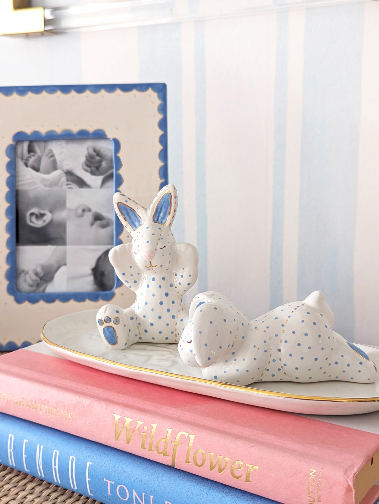 Baby Bunnies
