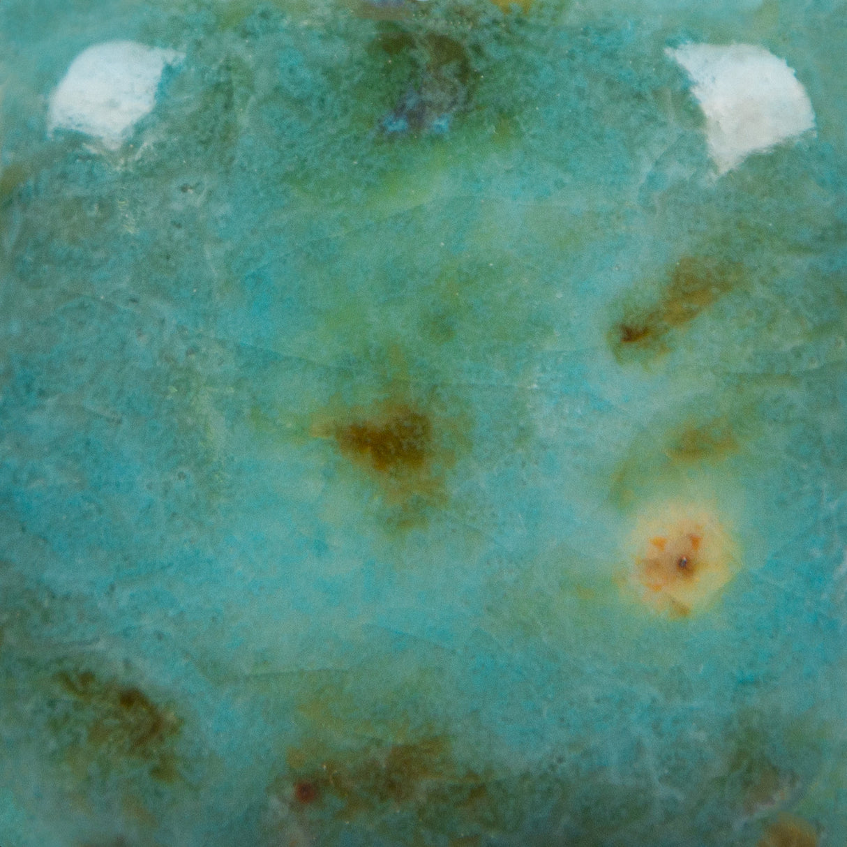 Blue Guppy - Jungle Gems 1008