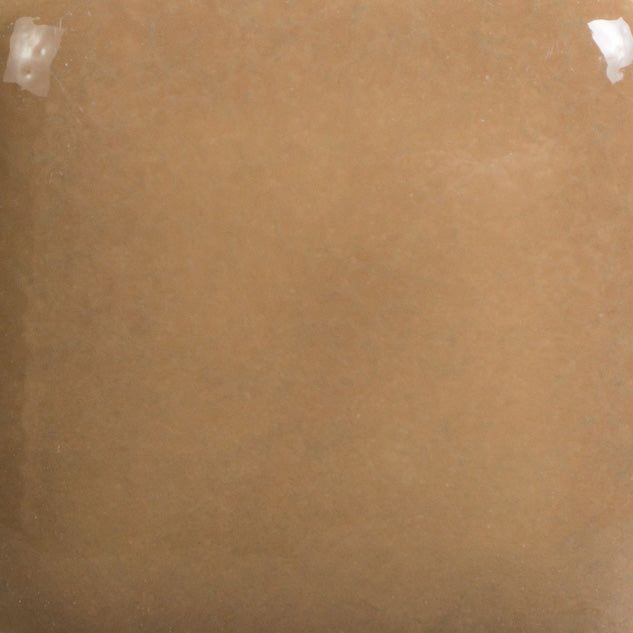 Foundations 022 Tan