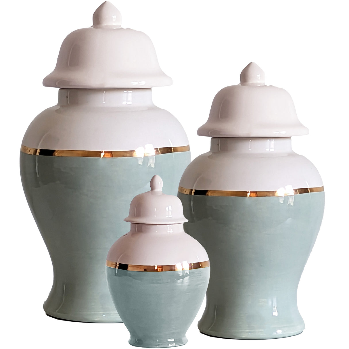 Lamb's Ear Color Block Ginger Jar with Gold Accent