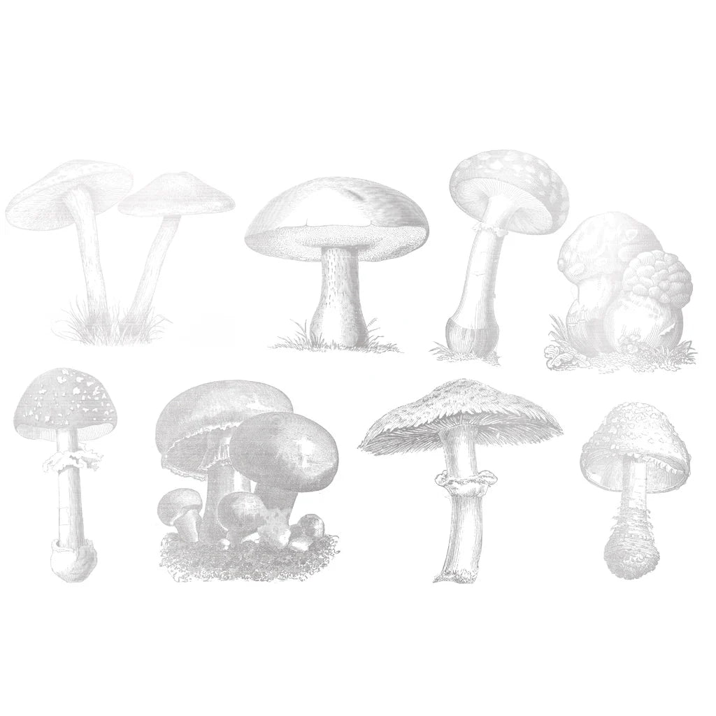 Wild Mushroom Overglaze Gold Decal Sheet