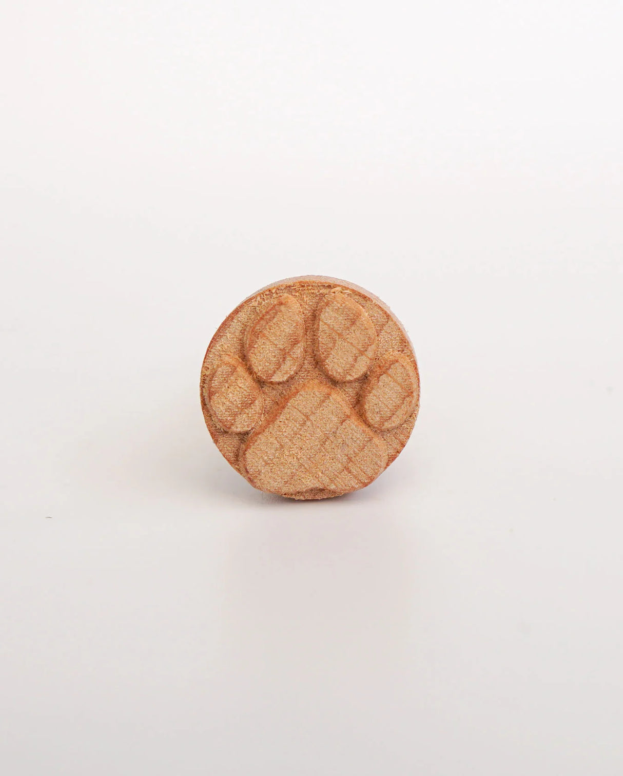 Paw Clay Stamp