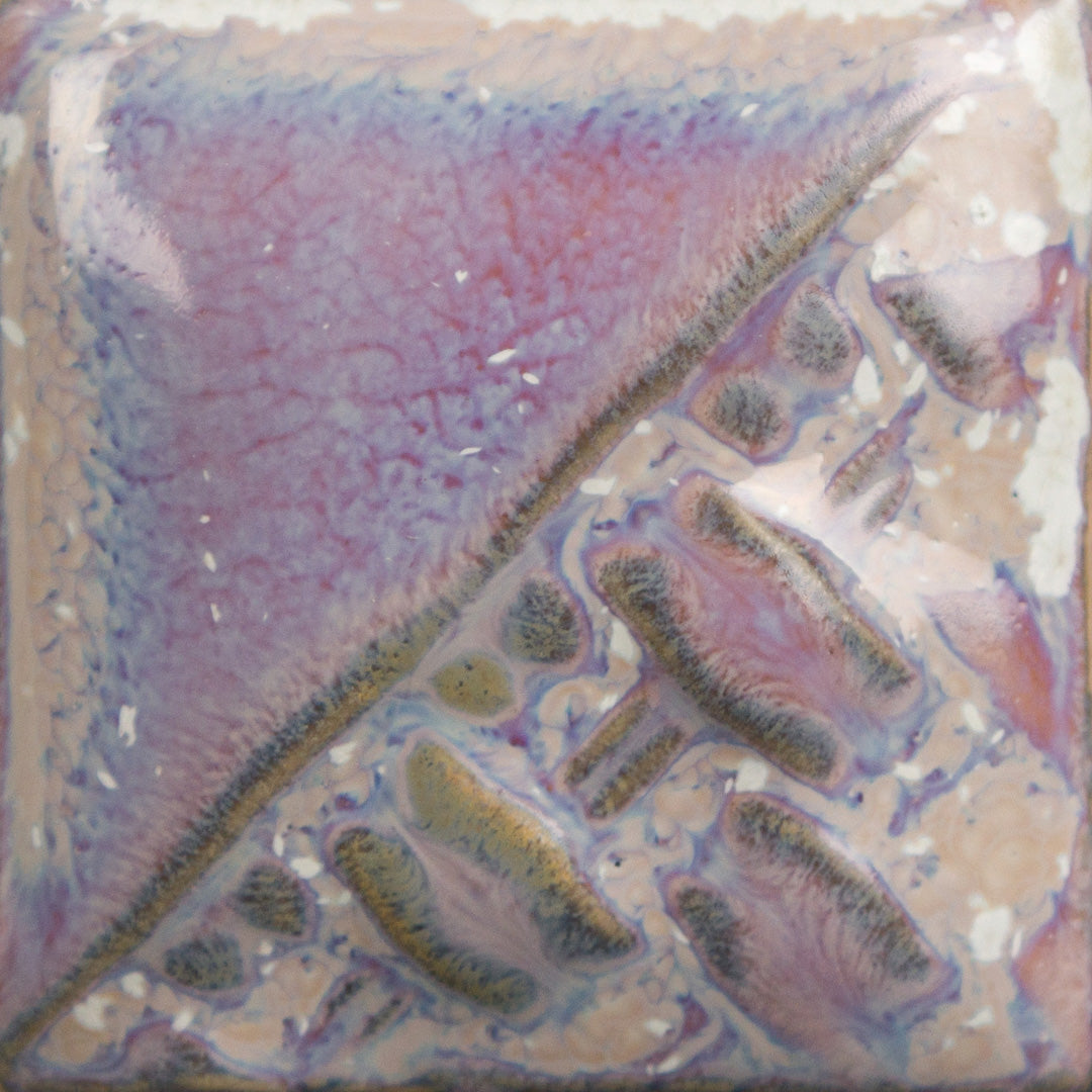 Stoneware 196 Sand Dollar