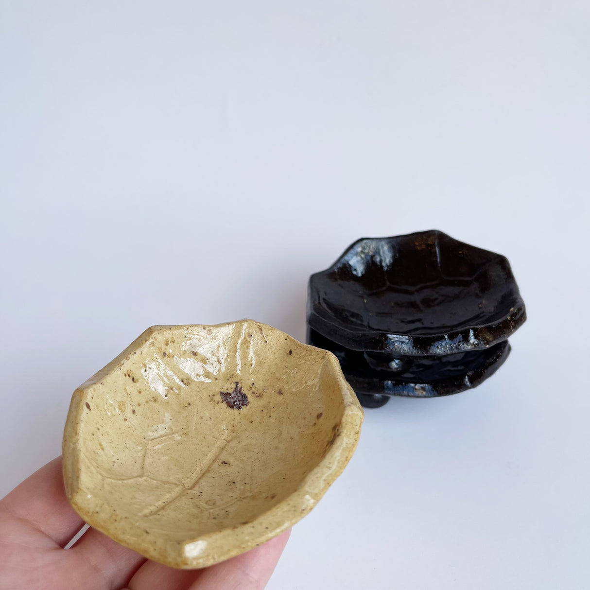 Turtle Shell Dish | Panther Pots by Ayden Krzmarzick