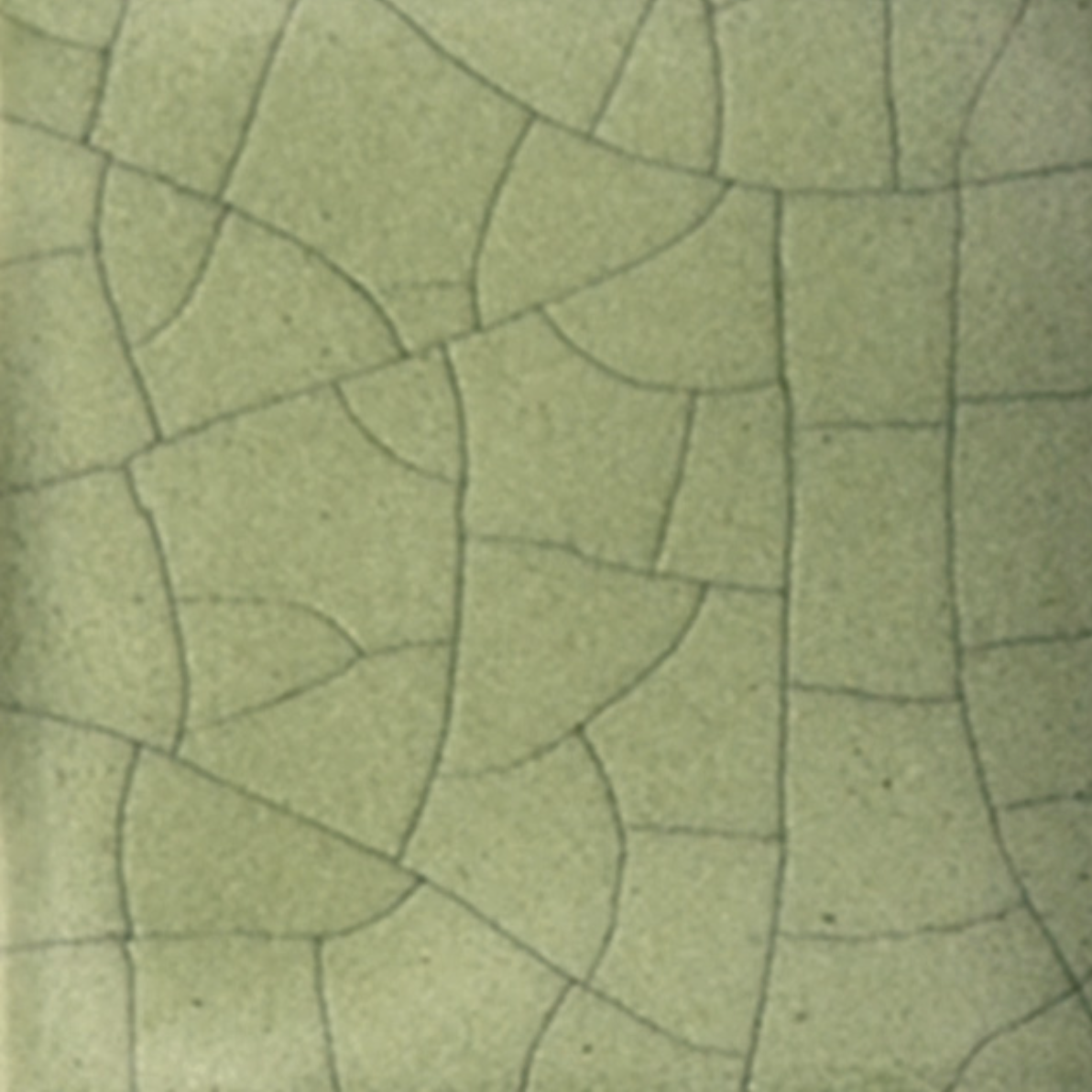 Classic Crackles- Green Tea 107