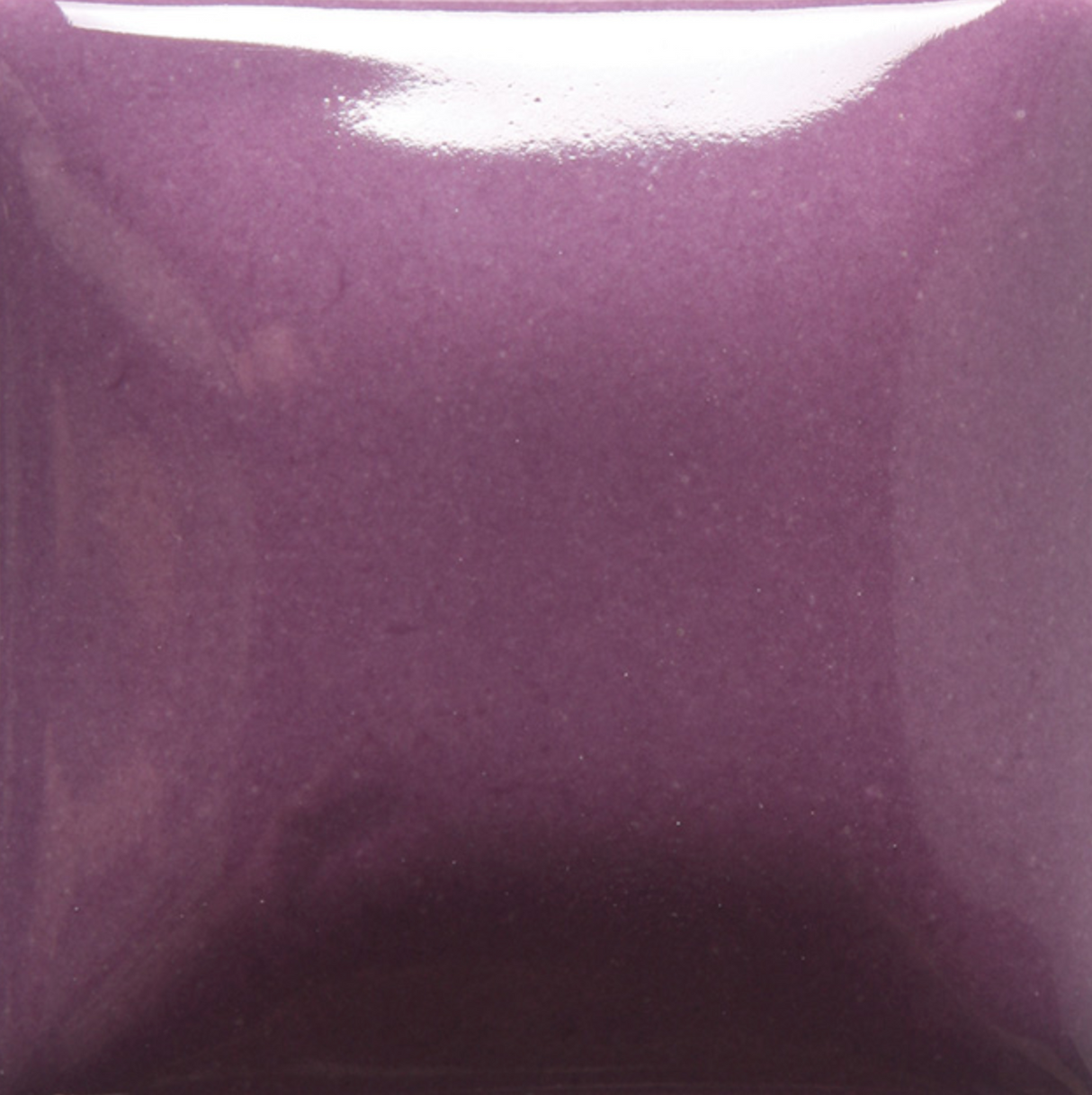 Foundations 036 Grape