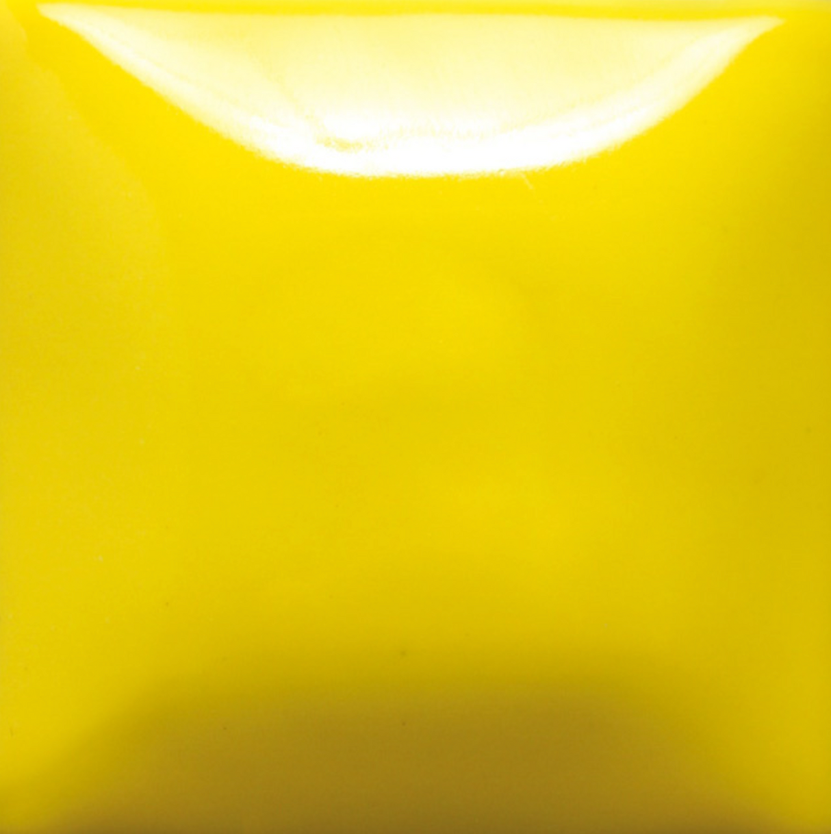 Stroke and Coat 006 Sunkissed