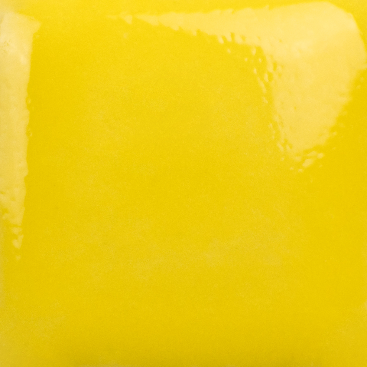 Stroke and Coat 006 Sunkissed