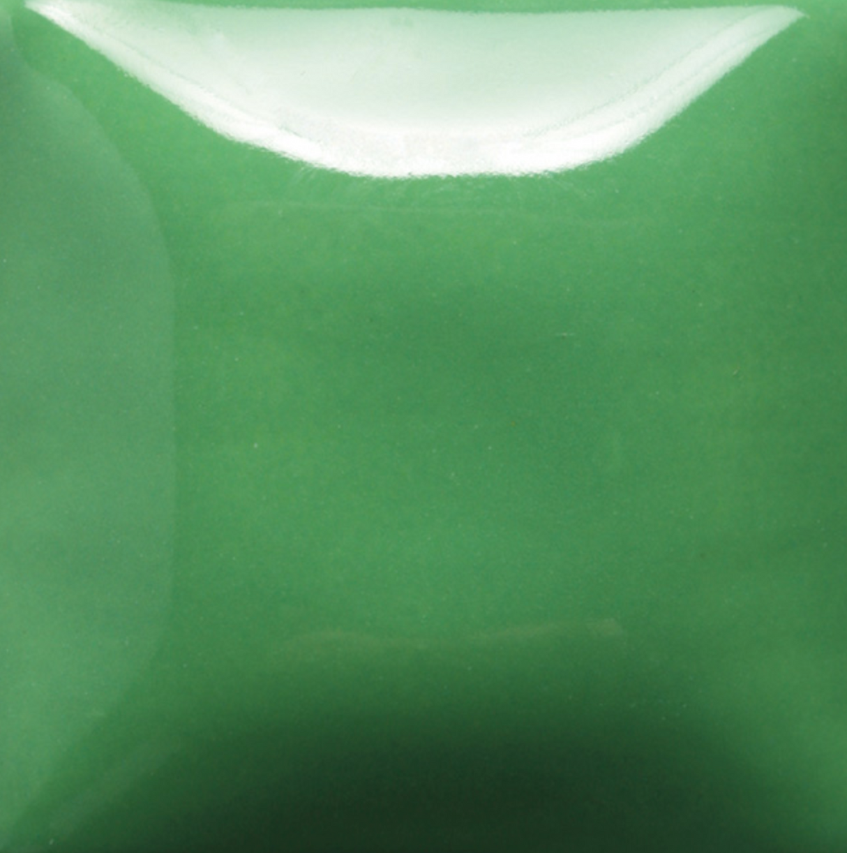 Stroke and Coat 007 Leapin' Lizard