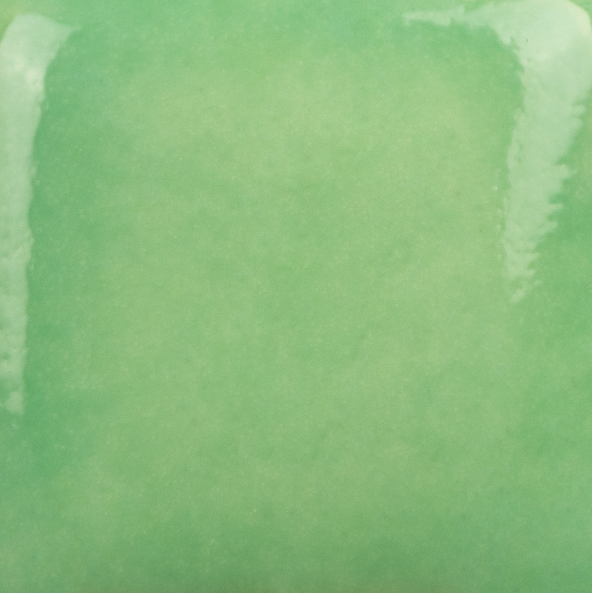 Stroke and Coat 007 Leapin' Lizard