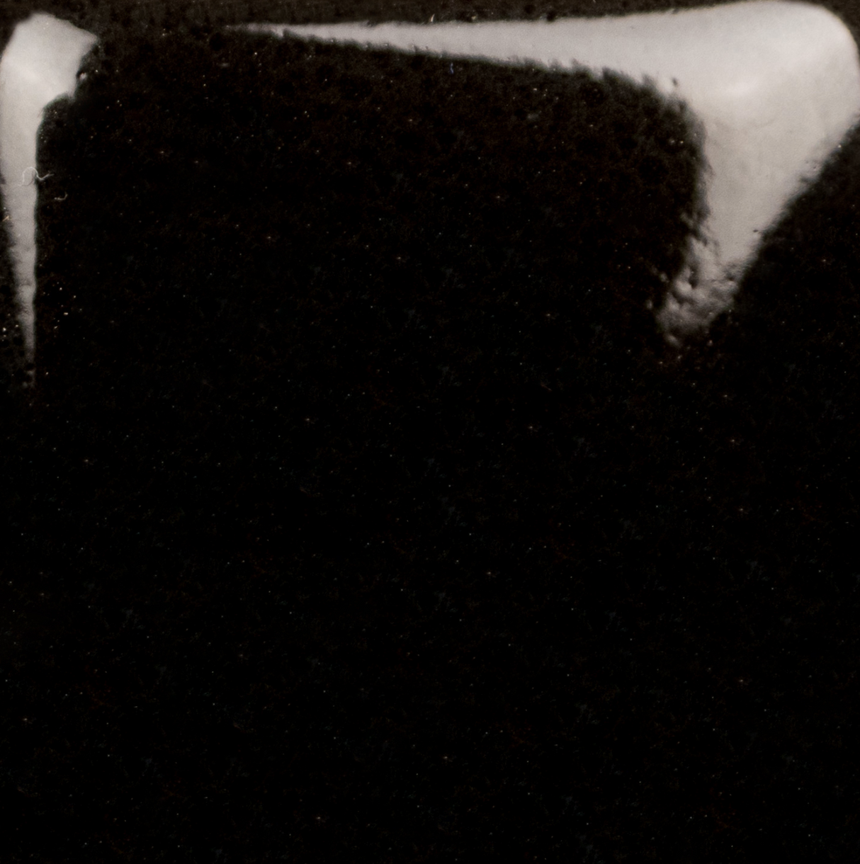 Stroke and Coat 015 Tuxedo