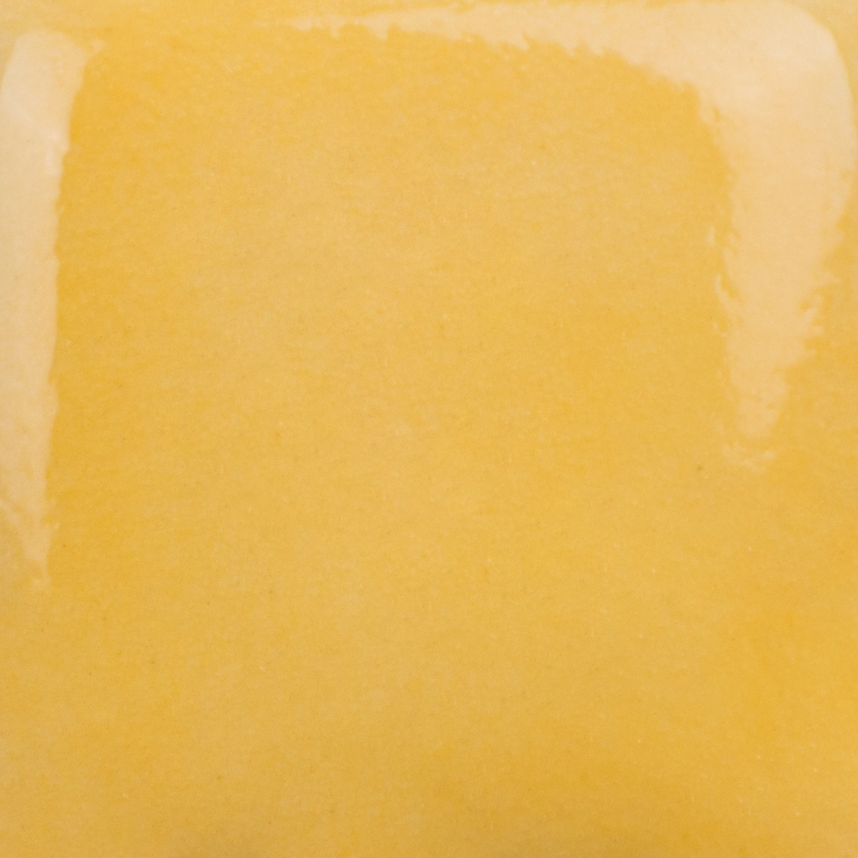 Stroke and Coat 024 Dandelion