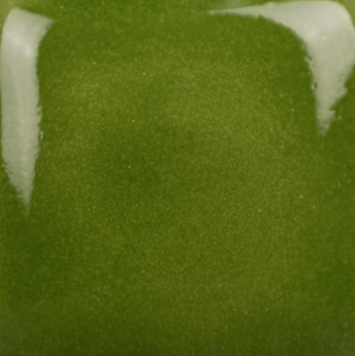 Stroke and Coat 026 Green Thumb