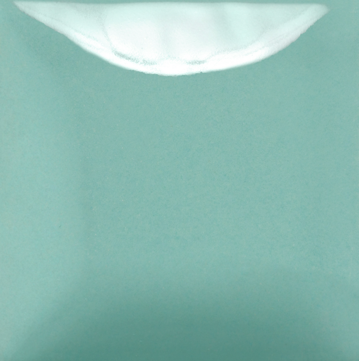 Stroke and Coat 101 Spruce It Up