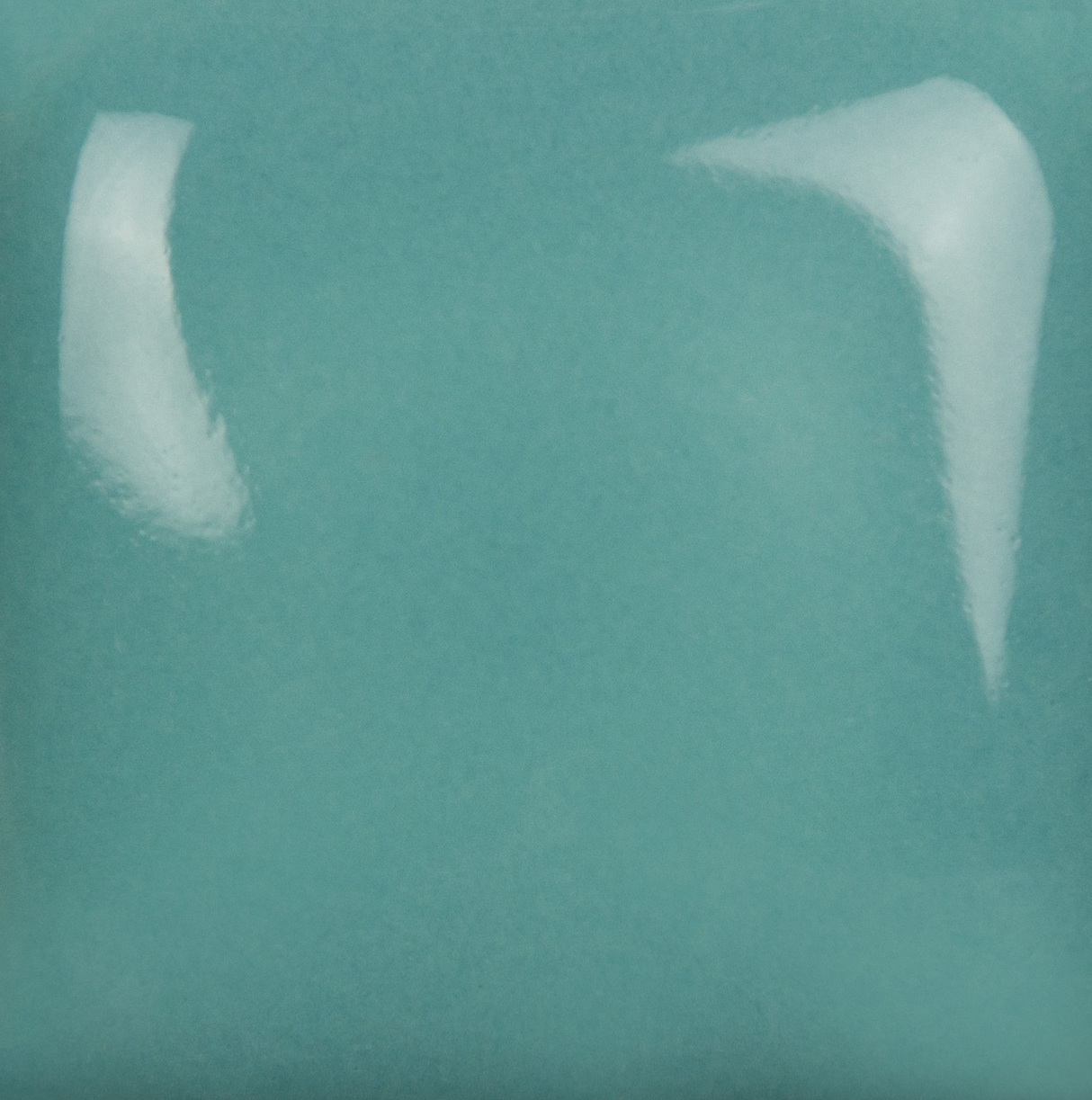 Stroke and Coat 101 Spruce It Up