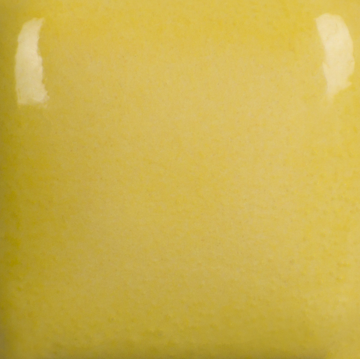 Foundations 232 Sun Yellow