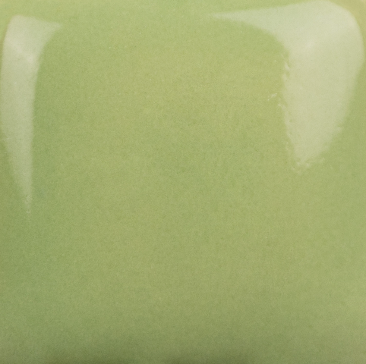 Stroke and Coat 043 Lettuce Alone