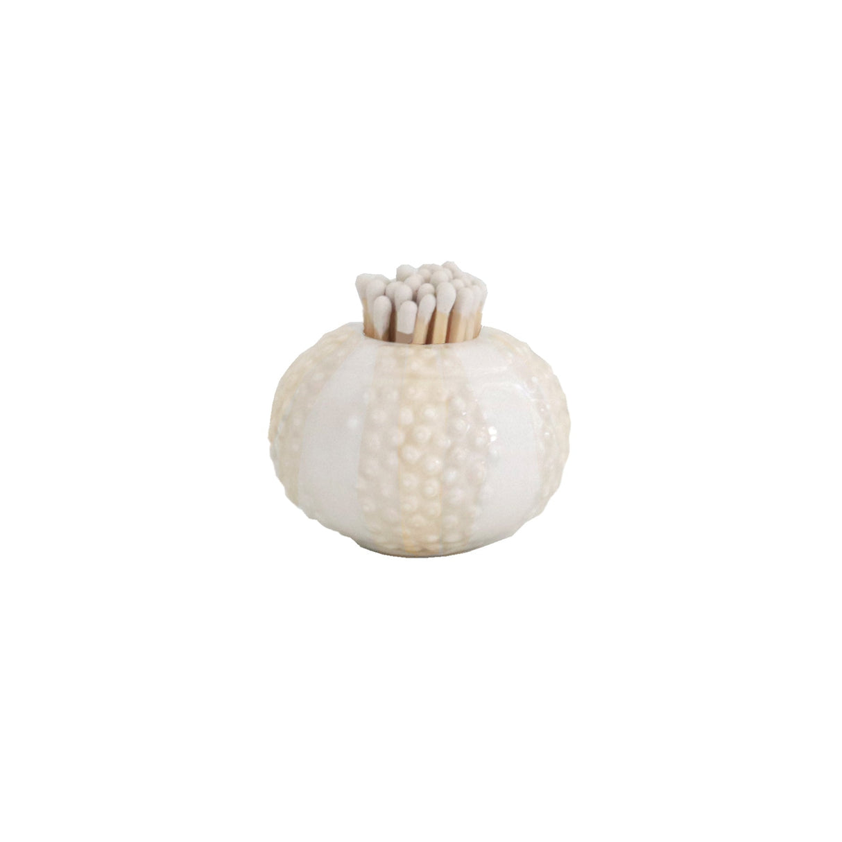 Sea Urchin Match Holder/ Striker in Beige | Wholesale