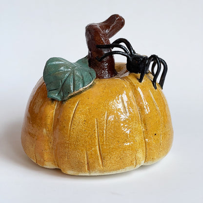 Pumpkin with Spider Friend | Katie Brown