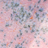 Speckled Flux Crawl CR-18