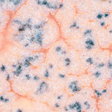 Speckled Flux Crawl CR-18