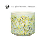 Speckled Yellow Crawl CR-61